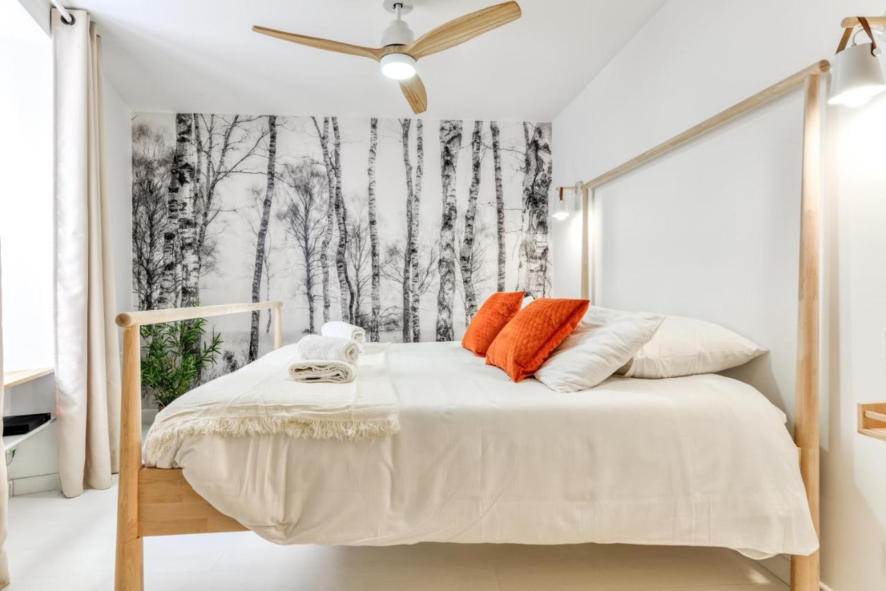 Les Gites De Laure - L'Or Blanc, Appartement Avec Vue Sur Le Chateau, Climatisation, Netflix, A 160 M De La Cite Medievale Каркассонн Екстер'єр фото